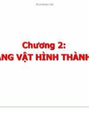 Bài giảng Khoa học đất (Ngành Quản lý đất đai) - Chương 2 (1): Khoáng vật hình thành đất