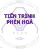 Bài giảng Khoa học đất (Ngành Quản lý đất đai) - Chương 8 (2): Tiến trình phèn hoá