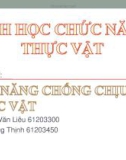 Sinh học chức năng thực vật: Khả năng chống chịu của thực vật