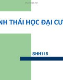 Bài giảng Sinh học đại cương: Chương 3.1 - TS. Nguyễn Thị Kim Dung