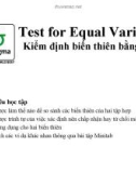 Bài giảng 6sigma: Kiểm định biến thiên bằng nhau