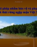 Thuyết trình: Các giải pháp nhằm bảo vệ và phục hồi hệ sinh thái rừng ngập mặn Việt Nam