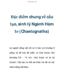 Đặc điểm chung về cấu tạo, sinh lý Ngành Hàm tơ (Chaetognatha) Là ngành động