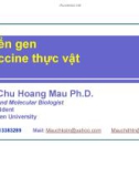 CHUYỂN GEN VÀ VACCINE THỰC VẬT