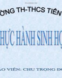 BÀI GIẢNG THỰC HÀNH QUAN SÁT THƯỜNG BIẾN