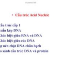 Bài giảng Di truyền học đại cương - Chương 1: Cấu trúc Acid Nucleic