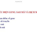 Bài giảng Di truyền học đại cương - Chương 3: Biểu hiện gene - Sao mã và dịch mã