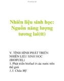 Nhiên liệu sinh học: Nguồn năng lượng tương lai(tt)