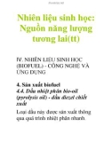 Nhiên liệu sinh học: Nguồn năng lượng tương lai(tt)