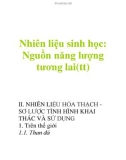 Nhiên liệu sinh học: Nguồn năng lượng tương lai(tt)