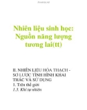 Nhiên liệu sinh học: Nguồn năng lượng tương lai(tt)