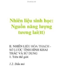 Nhiên liệu sinh học: Nguồn năng lượng tương lai(tt)