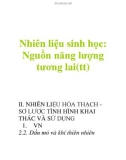 Nhiên liệu sinh học: Nguồn năng lượng tương lai(tt)