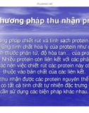 Bài giảng Công nghệ protein – enzyme: Chương 2