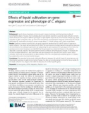 Effects of liquid cultivation on gene expression and phenotype of C. elegans