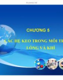 Bài giảng Hóa keo: Chương 5 - ThS. Trương Đình Đức