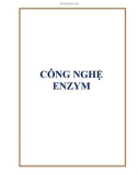 Bài giảng công nghệ Enzym - GVC Ths. Trần Xuân Ngạch