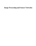 GeoSensor Networks - Chapter 7