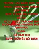 Xử lý nước thải nhà máy đường bằng phương pháp sinh học