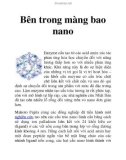 Bên trong màng bao nano