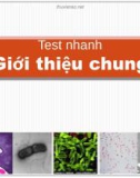 Test nhanh Vi sinh vật