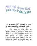 phân loại vi sinh vật bằng sinh học phân tử (tt)