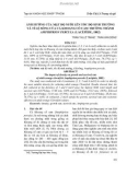 Ảnh hưởng của mật độ nuôi lên tốc độ sinh trưởng và tỉ lệ sống của cá Khoang cổ cam trưởng thành Amphiprion percula (Lacépède, 1802)