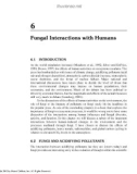 FUNGI IN ECOSYSTEM PROCESSES - CHAPTER 6