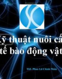 Bài giảng Kỹ thuật nuôi cấy tế bào động vật