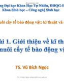 Bài giảng Nuôi cấy tế bào động vật kĩ thuật và ứng dụng: Bài 1 - TS. Vũ Bích Ngọc