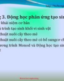 Bài giảng Kỹ thuật phản ứng sinh học: Chương 3 - Bùi Hồng Quân