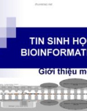 TIN SINH HỌC BIOINFORMATICS