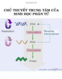 Chủ thuyết trung tâm của sinh học phân tử