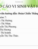 BÁO CÁO VI SINH VẬT HỌC