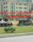 Bài giảng Một số điều luật quy định về bảo vệ an ninh quốc gia