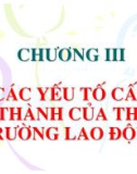 Chương 3: Các yếu tố cấu thành của thị trường lao động