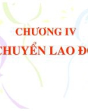 Chuơng 4: Di chuyển lao động