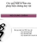 Bài giảng Các quy luật cơ bản của phép biện chứng duy vật