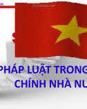 Bài giảng Bồi dưỡng chuyên viên chính: Pháp luật trong hành chính nhà nước