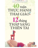 40 tuần thực thành thai giáo – 12 tháng thắp sáng thiên tài: phần 1 - vương kỳ