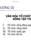 Bài 4 - Văn hóa tổ chức đời sống tập thể