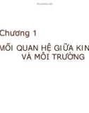 MỐI QUAN HỆ GIỮA KINH TẾ VÀ MÔI TRƯỜNG