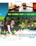 Bài giảng Môi trường pháp lý của đào tạo nghề - TS. Vũ Xuân Hùng