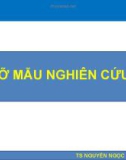 Bài giảng Nghiên cứu khoa học - Bài 17: Cỡ mẫu nghiên cứu