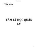 Tiểu luận: Tâm lý học quản lý