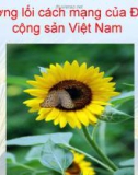 Bài giảng Đường lối cách mạng Đảng Cộng sản Việt Nam - Chương 1: Sự ra đời của Đảng Cộng sản Việt Nam và cương lĩnh chính trị đầu tiên