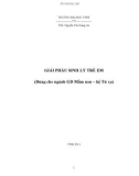 Giáo trình Giải phẫu sinh lý trẻ em (Dùng cho ngành GD Mầm non – hệ từ xa): Phần 1