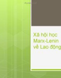 Bài giảng Xã hội học Marx-Lenin về Lao động