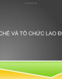 Bài giảng Thiết chế và Tổ chức lao động