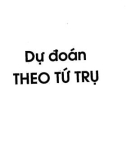 Nhập môn Dự đoán theo Tứ trụ: Phần 2